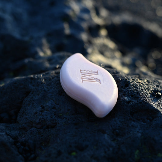 Comment bien rincer et conserver un shampoing solide : guide complet