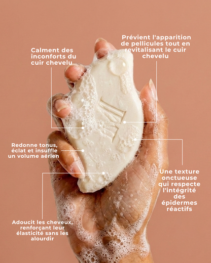 shampoing solide maison marie provence doux meilleur marque cosmetique solide shampoing solide n1 anti cheveux secs, cuir chevelu sensible, bien moussant, bio, naturel, anti pellicule, demangeaisons, cheveux sensibles, shampooing doux, shampooing solide doux, revitalisant, cheveux fins, cheveux normaux